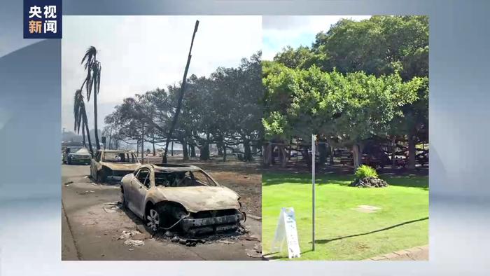 遇难人数升至89人 夏威夷野火成为美国百年来“最致命”野火
