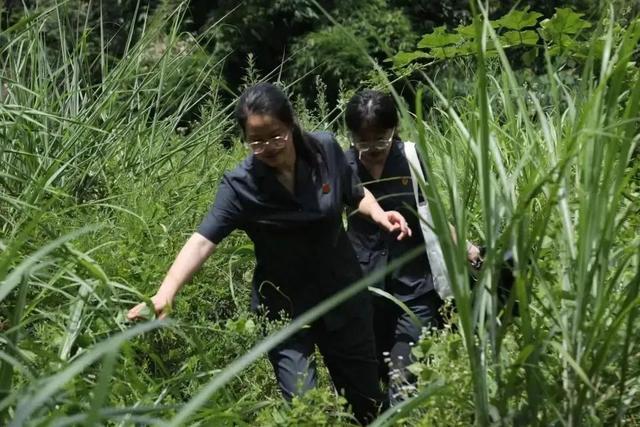 网购22.1万株野生兰花，被判处有期徒刑一年三个月！