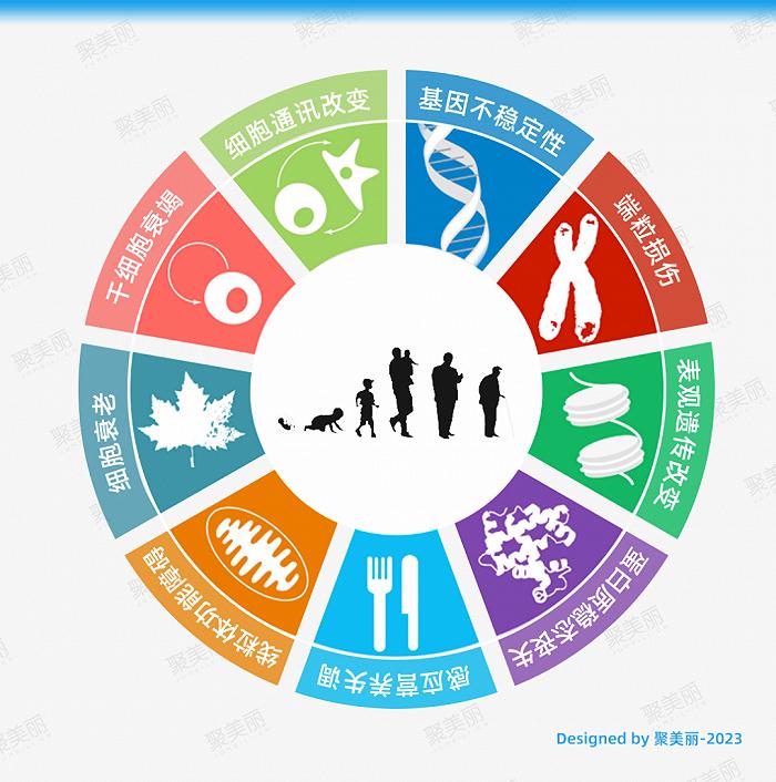 截图自相关文献