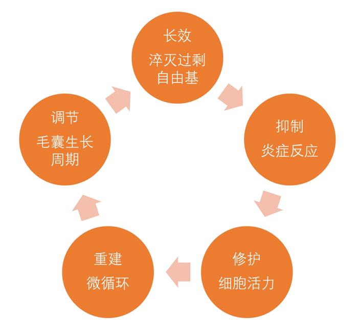 仁生泽发首席科学家王春儒研究员在富勒烯领域取得重大进展