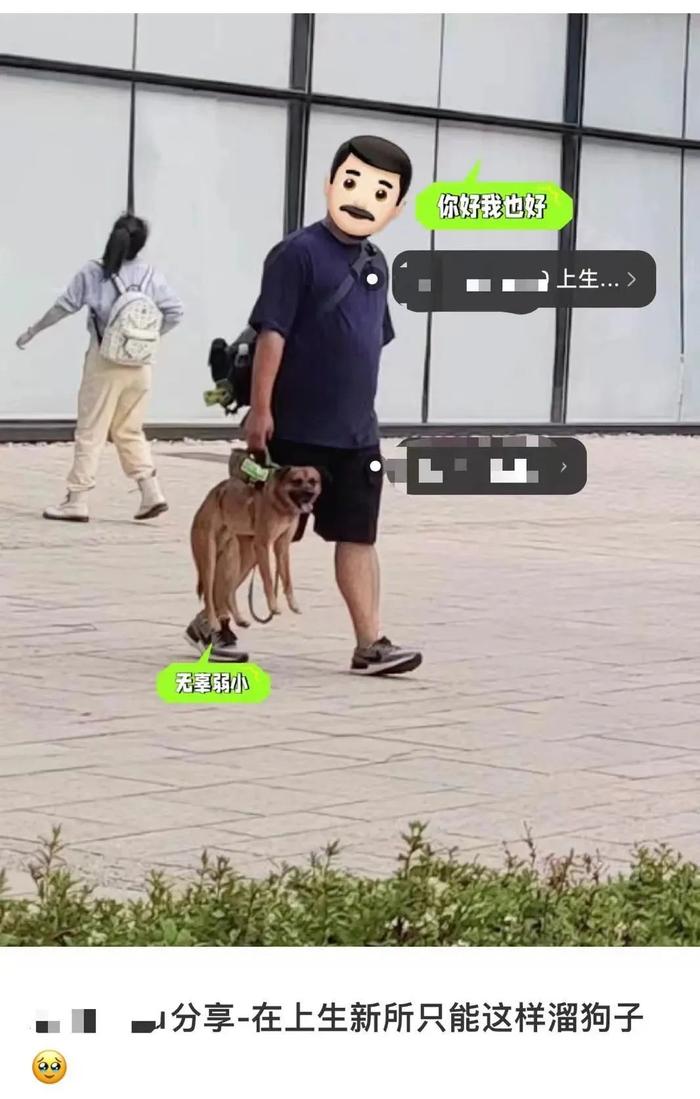 狗不能落地？上海知名网红街区规定引争议，有人提着狗走……