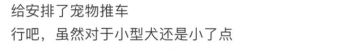 可以带狗但不能下地？有人提着狗走…....上海一知名网红街区规定引争议→