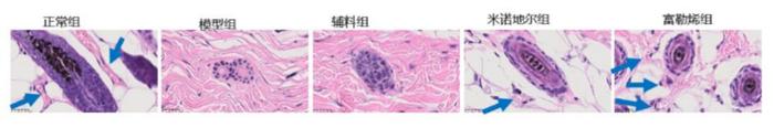 仁生泽发首席科学家王春儒研究员在富勒烯领域取得重大进展