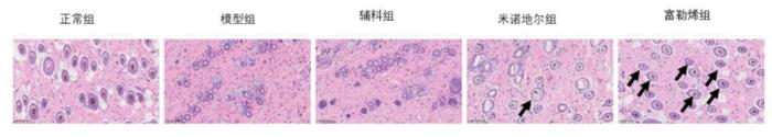 仁生泽发首席科学家王春儒研究员在富勒烯领域取得重大进展