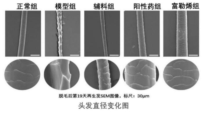 仁生泽发首席科学家王春儒研究员在富勒烯领域取得重大进展