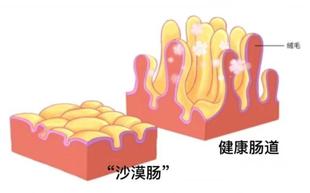 2岁宝宝持续腹泻体重仅10斤，在沪营养治疗2个多月出院