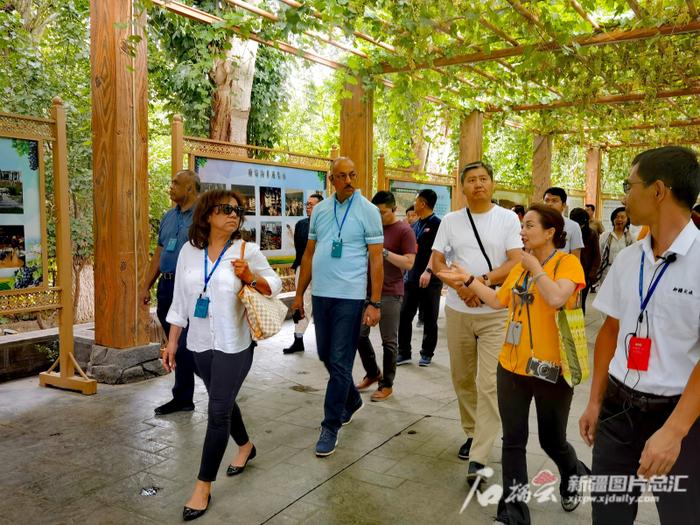 景好人美，驻华外交官要向世界推荐中国新疆