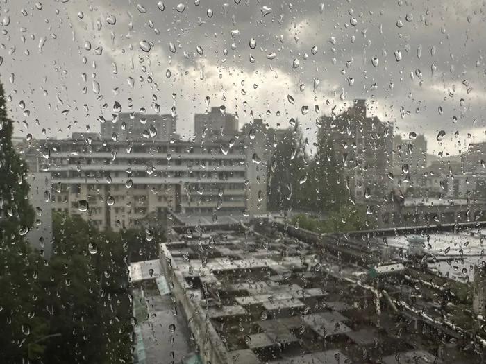 浙江连发多条预警，杭州发布暴雨大风双预警！这里仍有短时暴雨、强雷电……