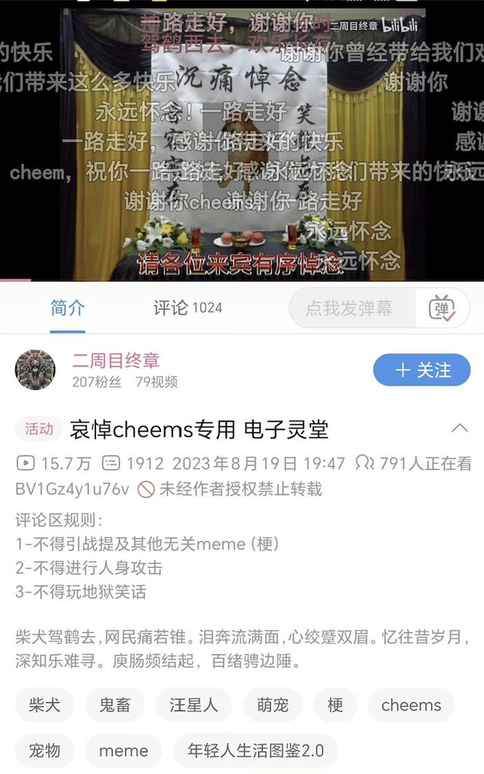 表情包小狗CHEEMS去世