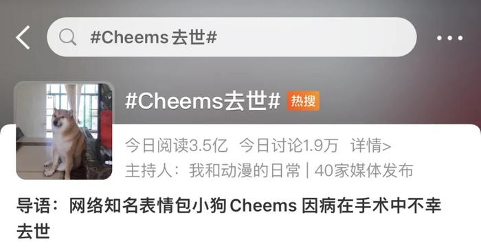 表情包小狗CHEEMS去世