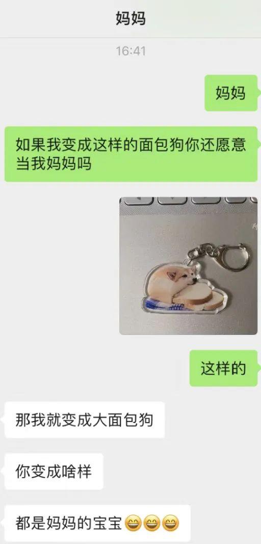 表情包小狗CHEEMS去世