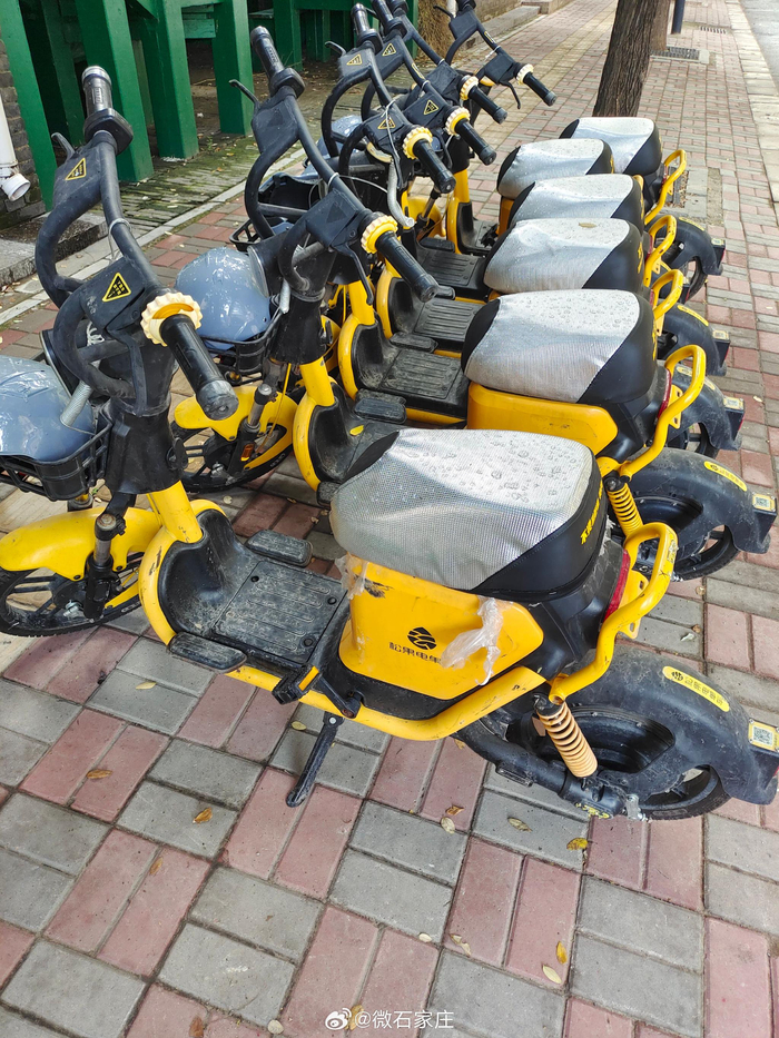 松果为什么没有骑行卡 w700d1q75cms.jpg