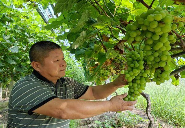 青山绿水生态园蝶变记