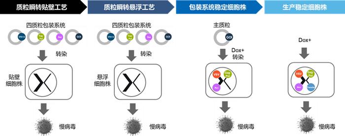 悬浮无血清生产工艺，助力慢病毒载体大规模生产！