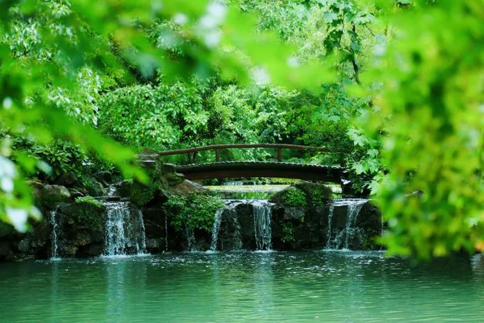 杭州“最佳”公园名单公布！有你家附近的吗？
