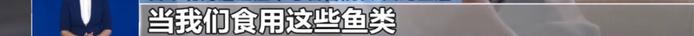 日本核污染水今起排海！还能给孩子吃海鲜吗？