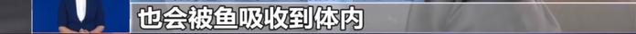 日本核污染水今起排海！还能给孩子吃海鲜吗？