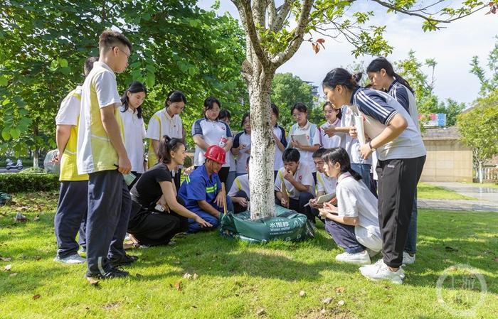 重庆南川：青少年模拟政协暑期调研 助力城市品质提升