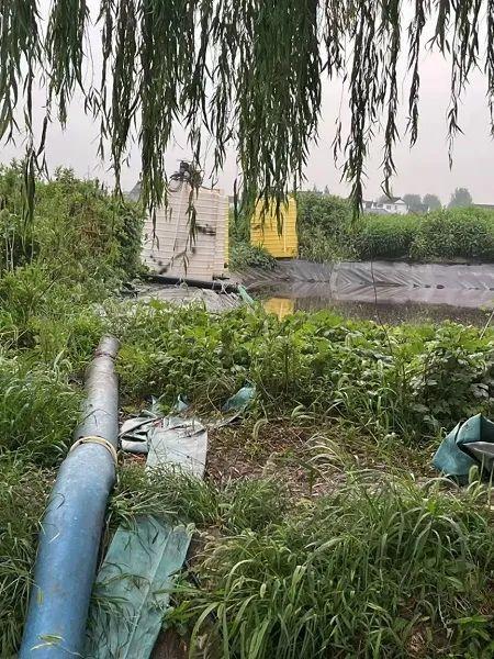 年产量“上海之最”的“蘑菇工厂”偷排污水？执法部门开具整改通知书