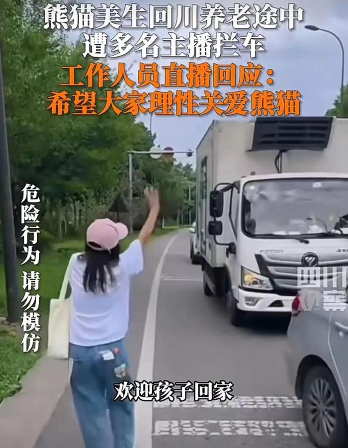 熊猫“美生”回保护区遭拦车？最新：又有两人被终身禁入