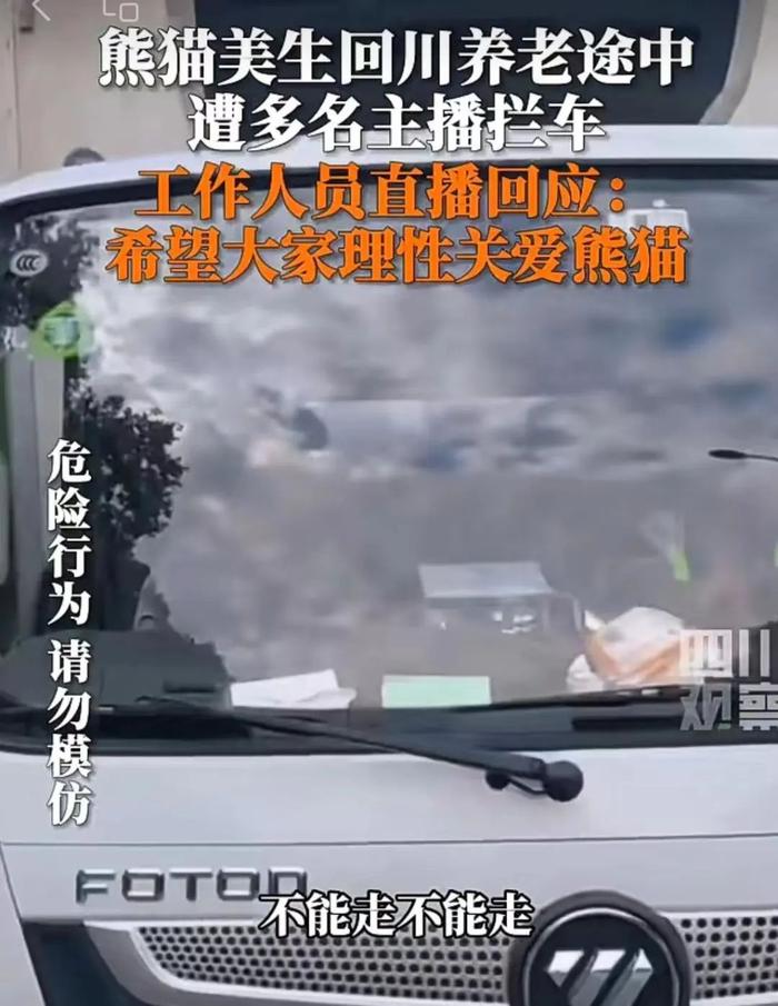 熊猫“美生”回保护区遭拦车？最新：又有两人被终身禁入