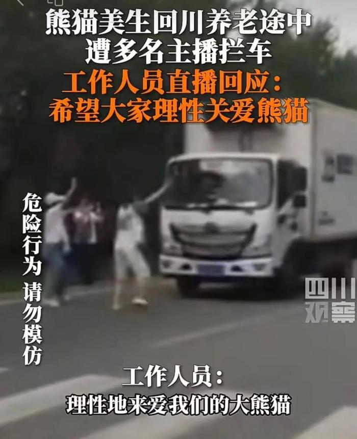 熊猫“美生”回保护区遭拦车？最新：又有两人被终身禁入