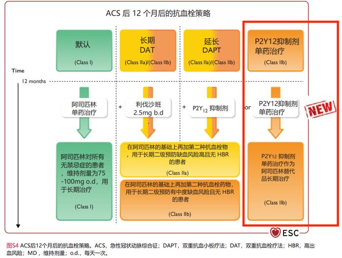 No Go Zone！编委主席提出抗栓“禁区”，一睹最新《ACS指南》抗血小板治疗完整解读 | ESC 2023