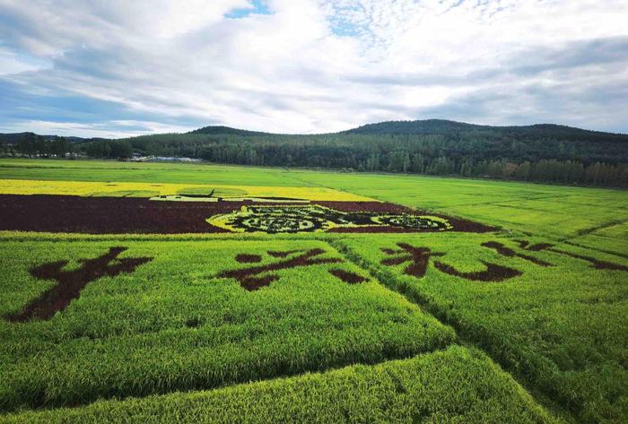 高质量发展调研行丨牡丹江中兴村：把“空壳村”孵化成“画中村”