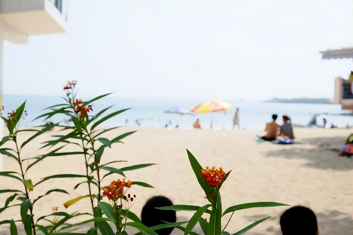 为什么道滘南丫小巷藏着商机？揭秘日均500客流的老街蜕变技巧