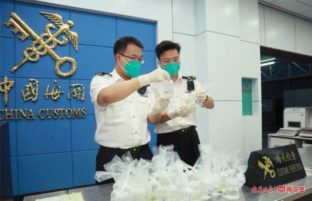 海关人员在旅客行李箱中发现透明塑料水袋，里面都是活体......