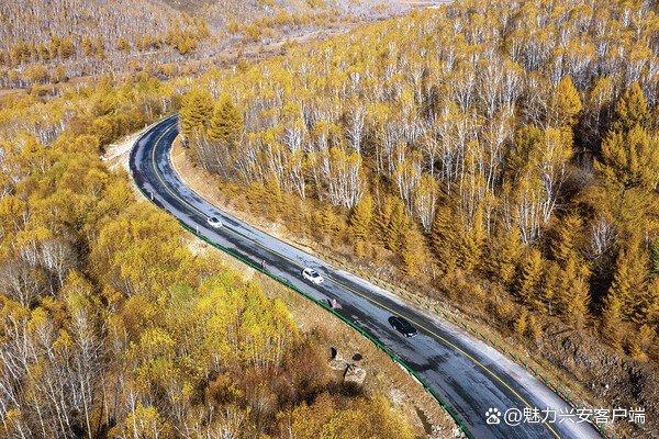 梦幻阿尔山，为什么是森林之城？