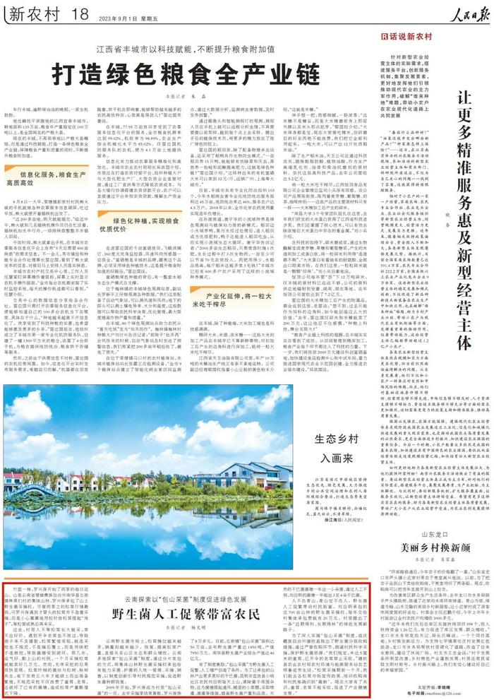 《人民日报》点赞！云南探索以“包山采菌”制度促进绿色发展
