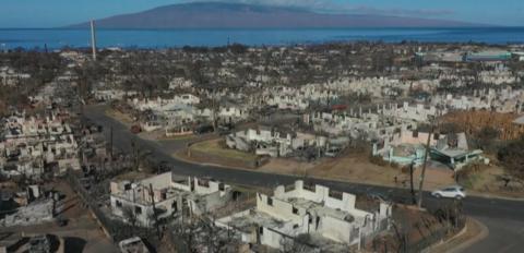 夏威夷毛伊岛大火后当地人担心“有毒空气” 有人咳血、呼吸困难