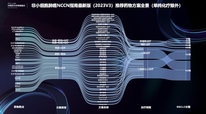 指南循证视角下的研发决策：来自文献挖掘的启示