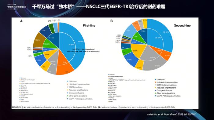 指南循证视角下的研发决策：来自文献挖掘的启示