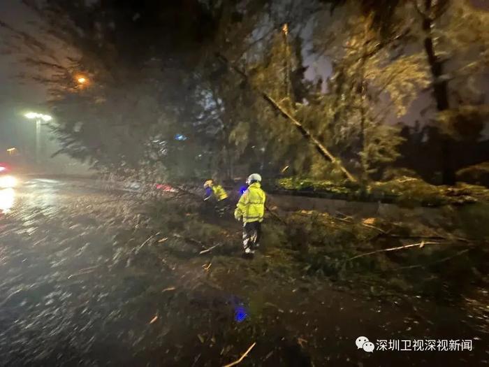 珠江出现超警高潮位｜台风“海葵”可能登陆，或严重影响广东！最新消息→