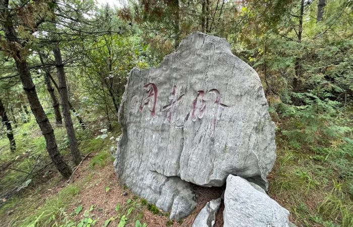 走进“西山十八园” | 太原沪硅城郊森林公园：诗画山水寄乡愁