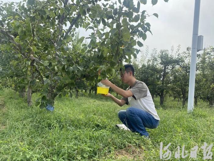 新闻纵深丨一场青春与农业的双向奔赴——保定首批大学生农业职业经理人正式上岗