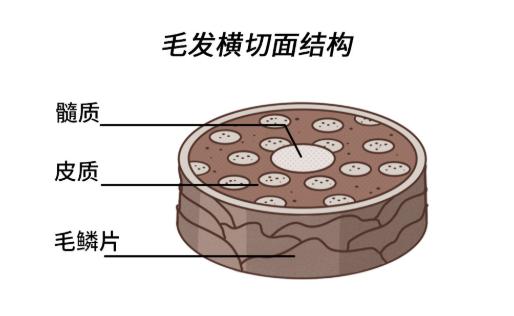 【健康】经常湿着头发就睡觉的人，后来都怎么样了？