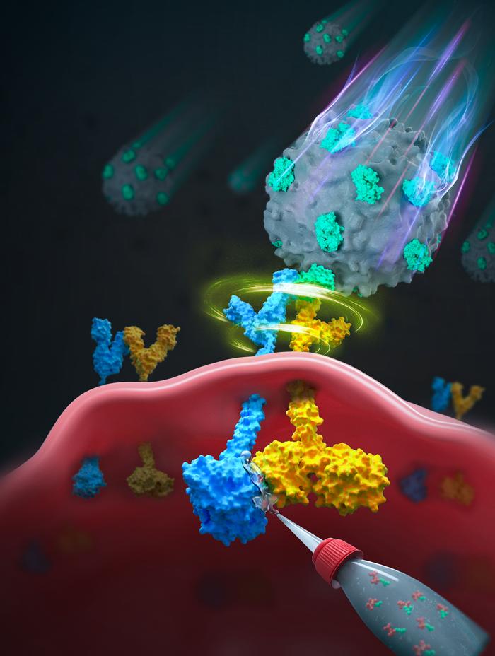 《自然》发表免疫学重要研究成果 揭开免疫T细胞“超强”监视能力奥秘