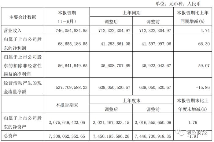 寻找算力龙头股（六）|上半年利润大涨超六成，数据港“数据龙头”地位稳了？