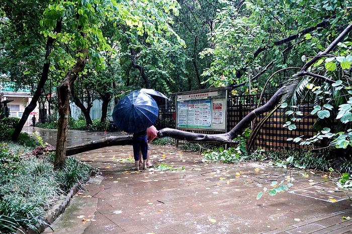 【图集】珠三角突发特大暴雨：多地停课，部分地铁停运