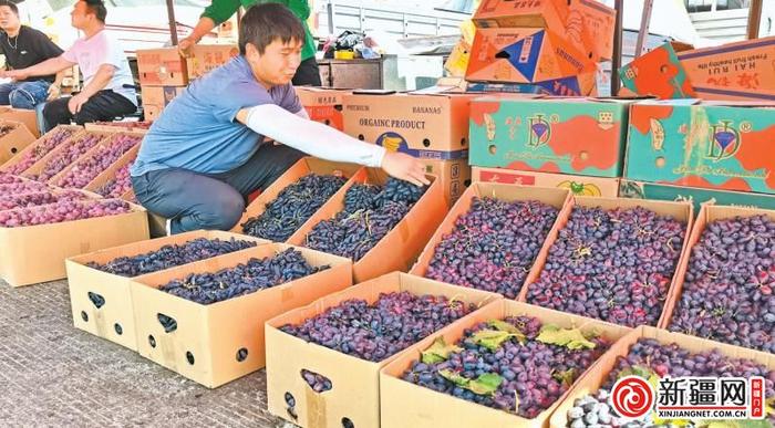 【记者跑市场】鲜食葡萄迎来上市高峰 整体价格呈下降趋势，调整种植结构和栽培模式是主因