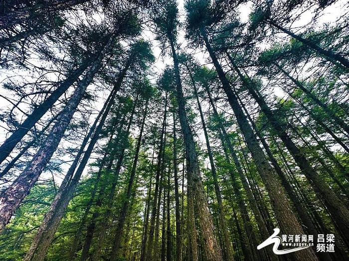 大美山西 | 岚县：高山草甸饮马池