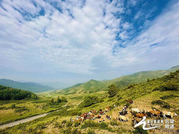 大美山西 | 岚县：高山草甸饮马池