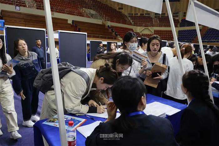 哈市教育系统投放计划招聘800人教师岗位参加“丁香人才周”（秋季）