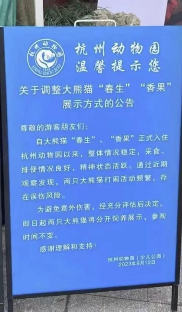 因频繁打闹各住单间，杭州动物园两只大熊猫已分开饲养