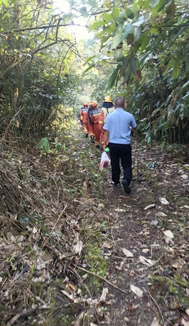 重庆八旬老人采草药跌落山崖，咸丰警民合力成功救援