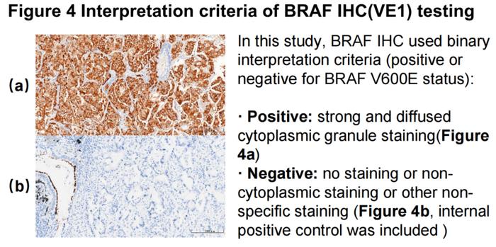 我国学者研究证实，免疫组化检测BRAF突变的一致性高达99% | WCLC 2023