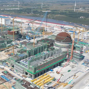 徐大堡核电站,最新进展!